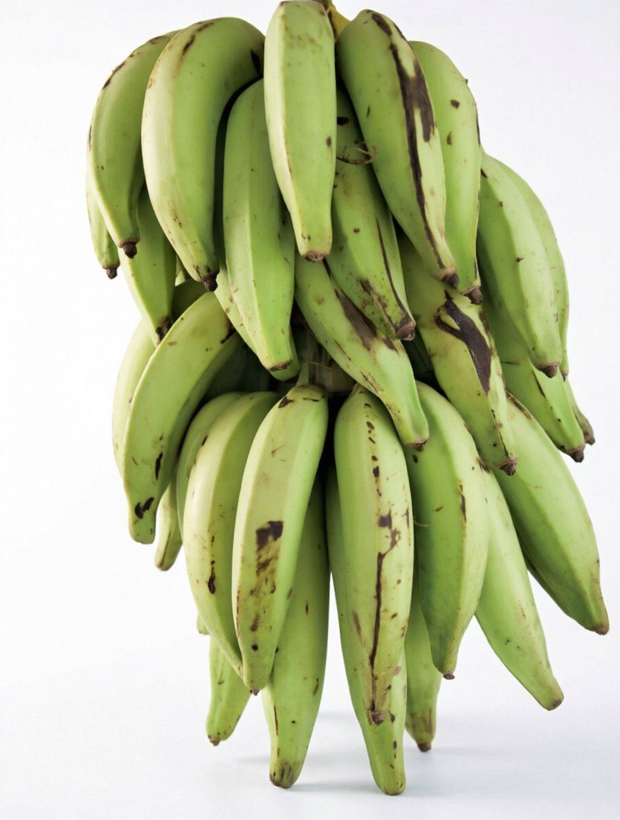 Plantain